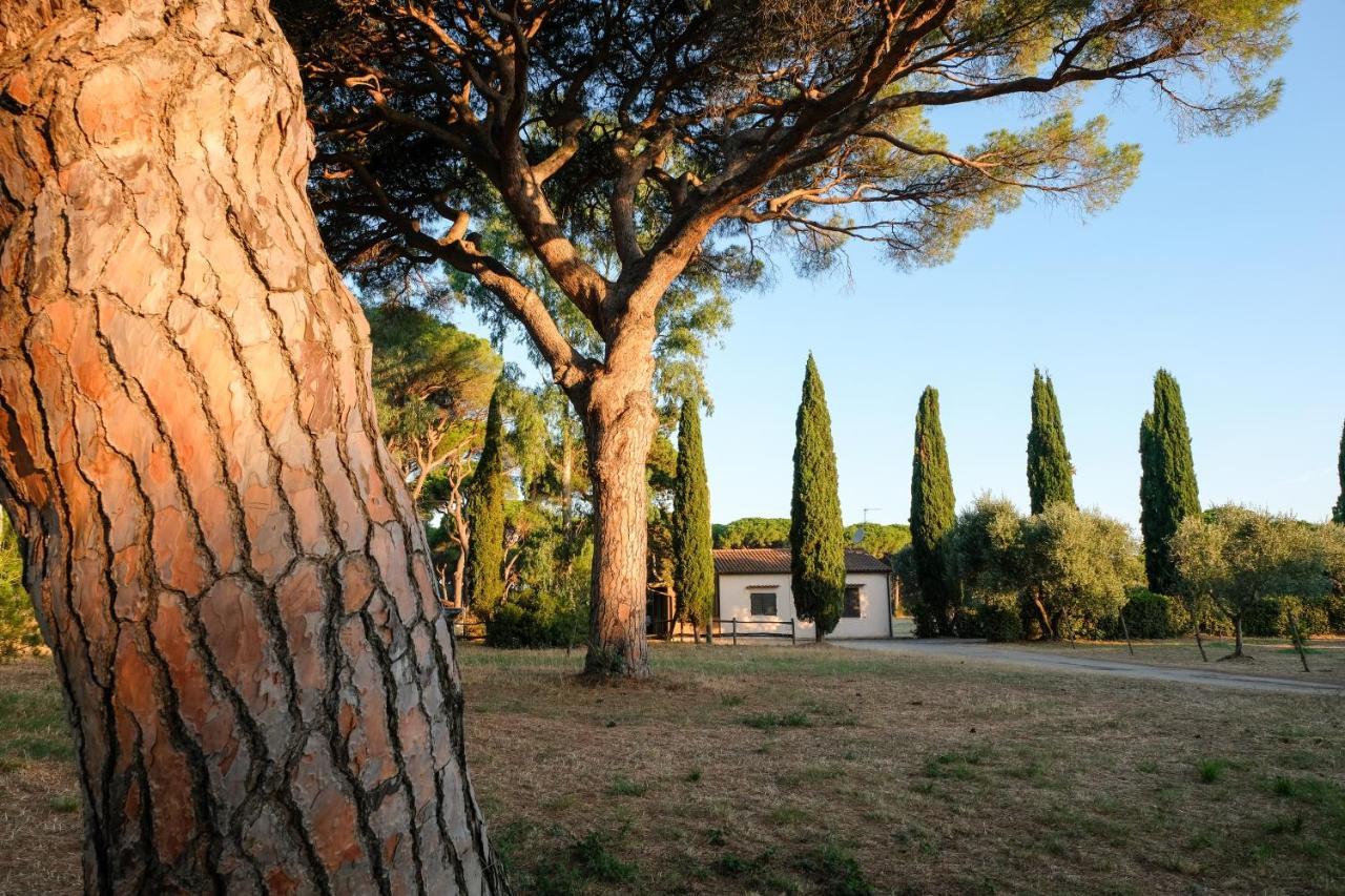 גרוסטו Residence La Canova II מראה חיצוני תמונה