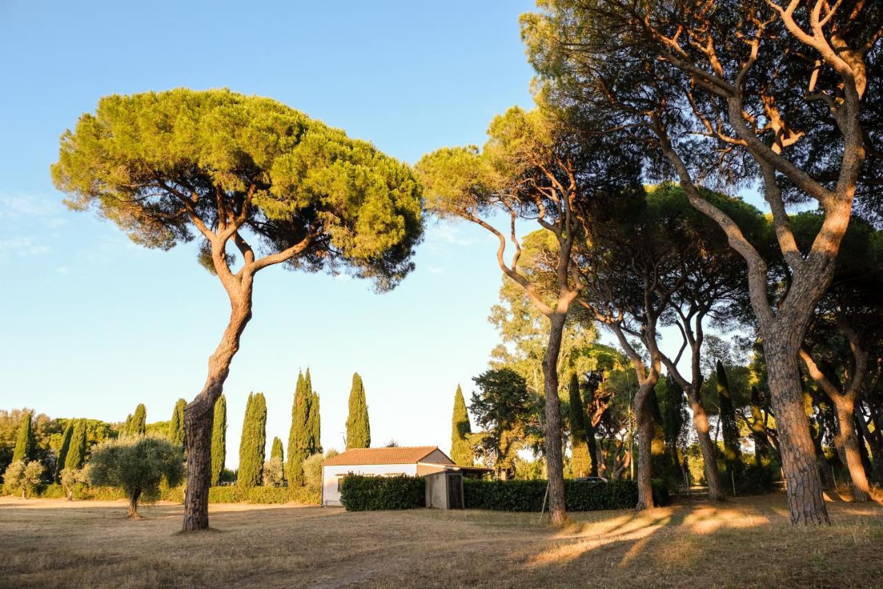 גרוסטו Residence La Canova II מראה חיצוני תמונה