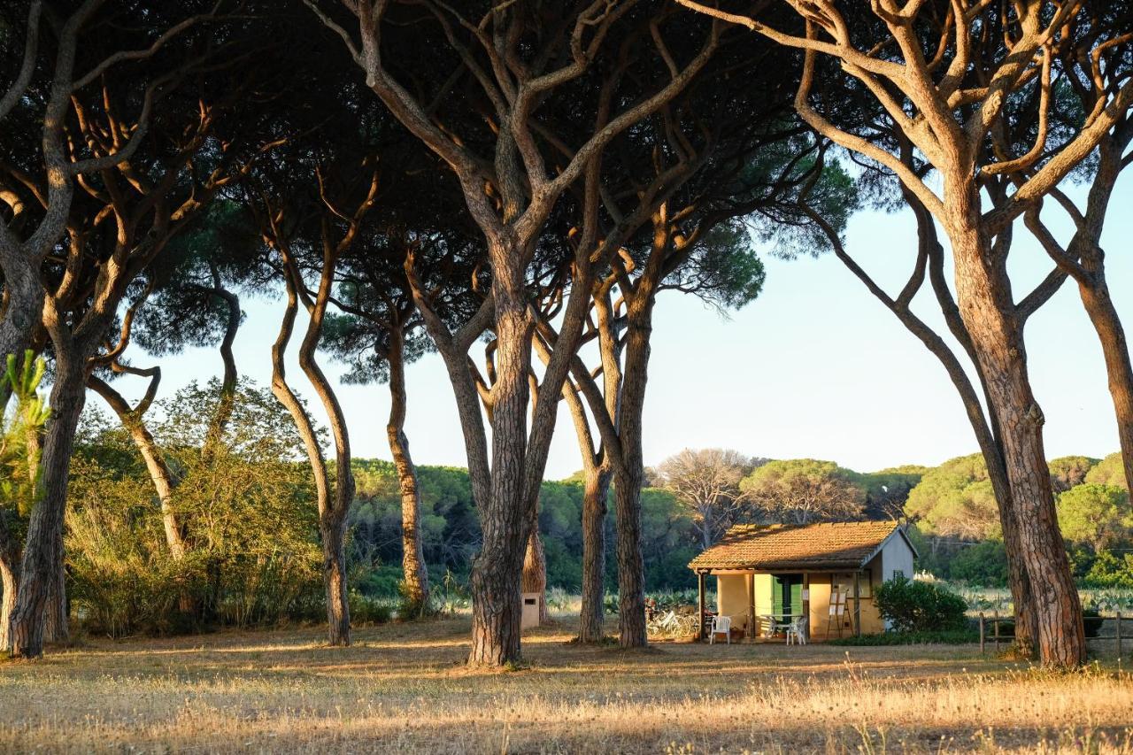 גרוסטו Residence La Canova II מראה חיצוני תמונה