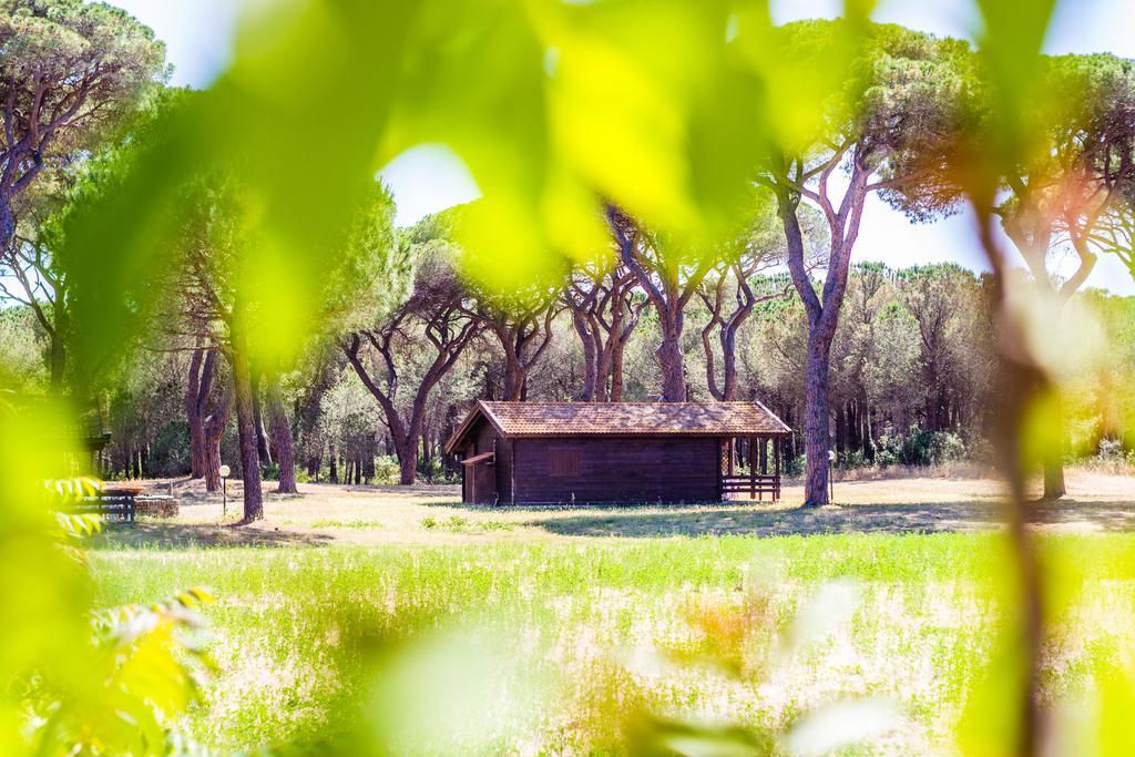 גרוסטו Residence La Canova II מראה חיצוני תמונה