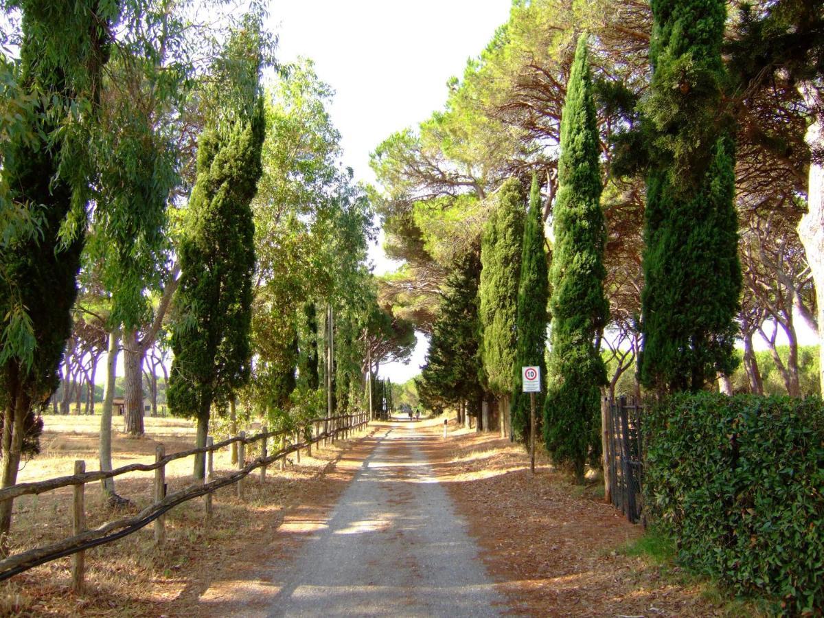 גרוסטו Residence La Canova II מראה חיצוני תמונה